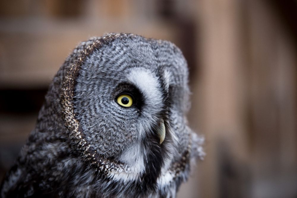 Photograph by Алексей Кацан