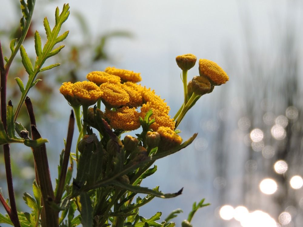Photograph by Екатерина Важова