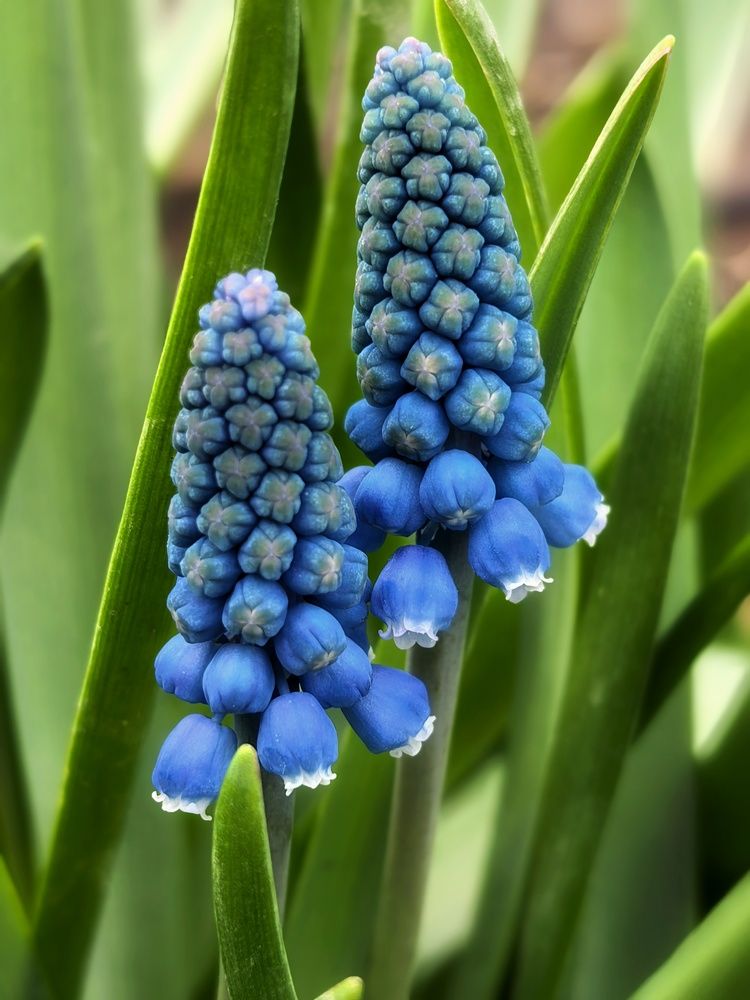 Photograph by Анна Якубинас