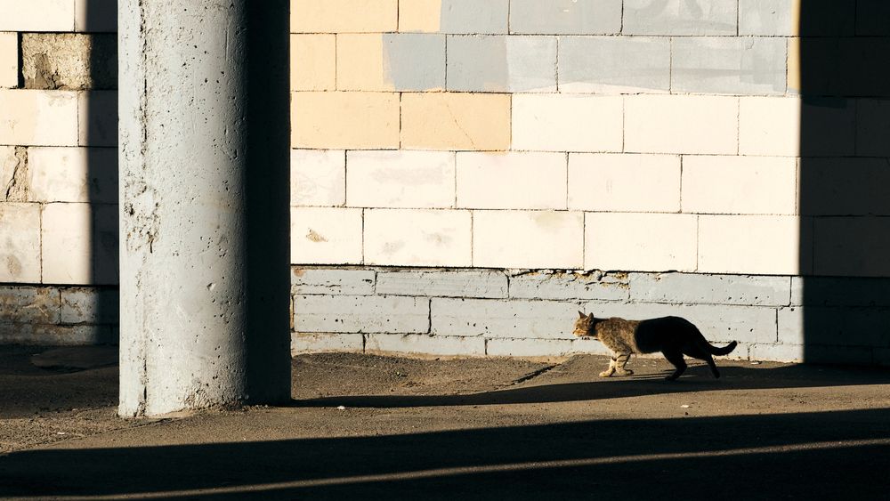 Photograph by Ivan Vetoshkin