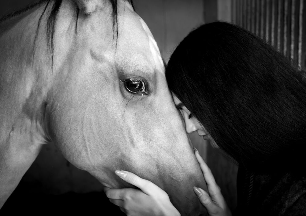 Photograph by Mehdi Zarei