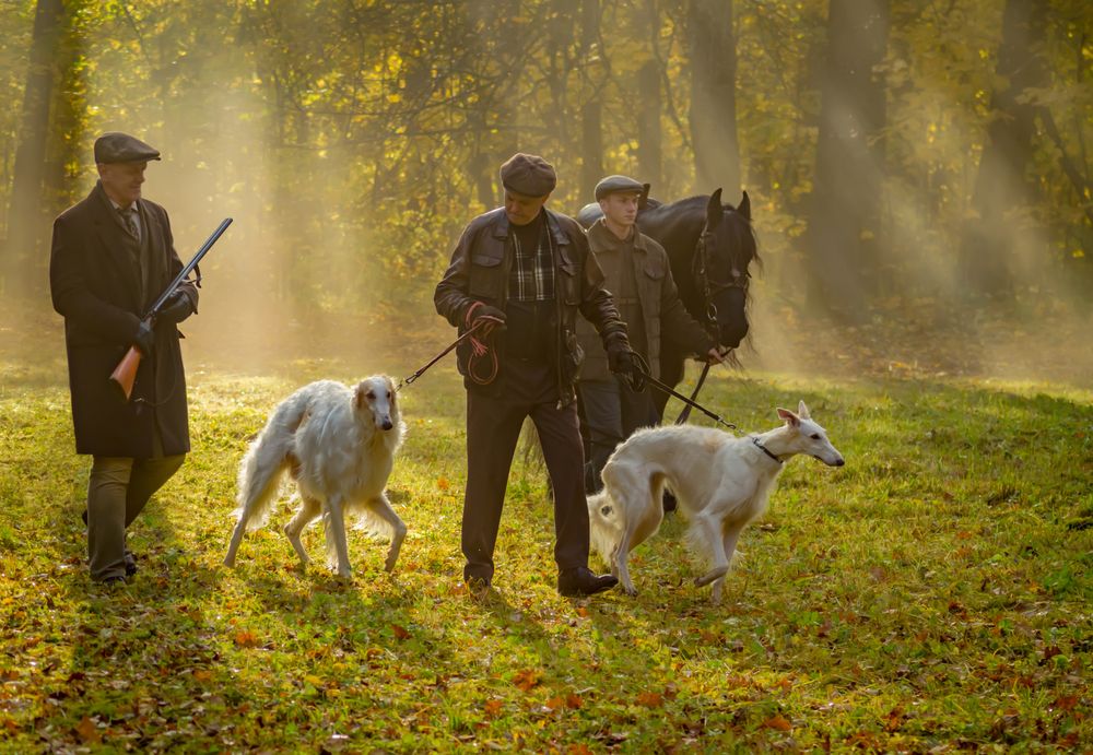 Photograph by Ольга Заповедная