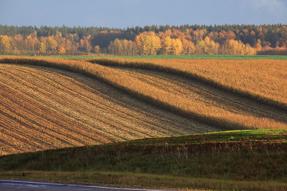 Осенний день.