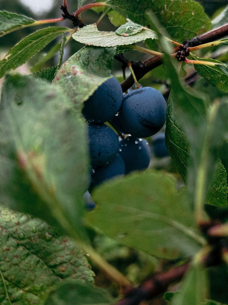 Photograph by Наталья Чехова