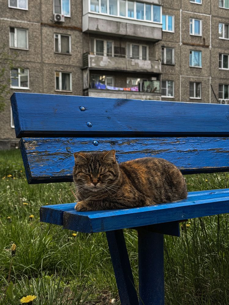 Photograph by Наталья Чехова