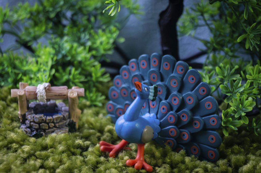 Photograph by Юлия Урюпина