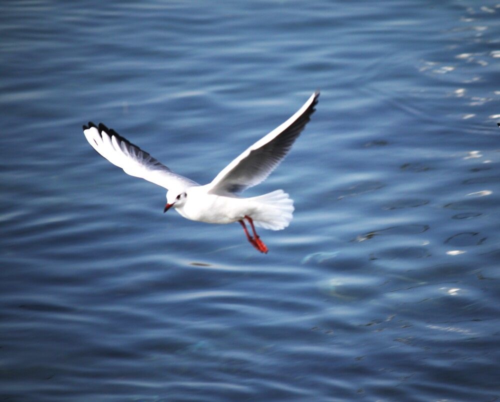 Photograph by ahmet erkan yavuzcan