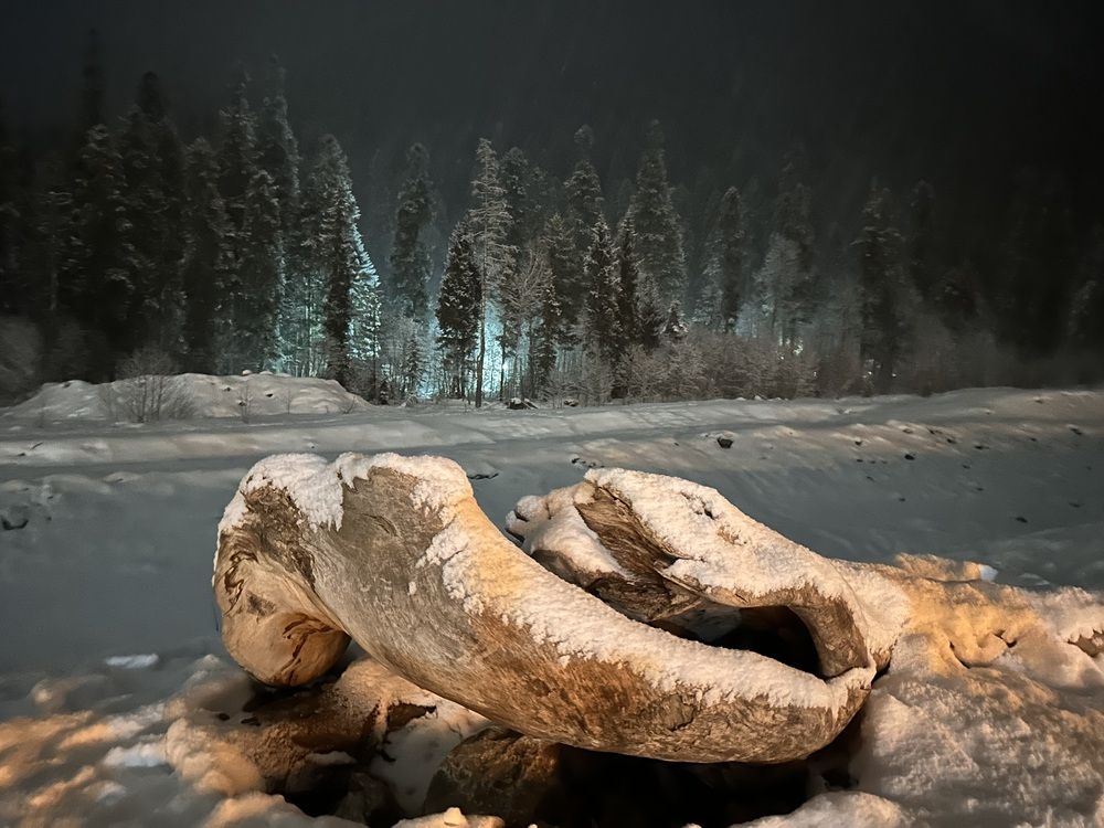 Photograph by Мария Палтусова