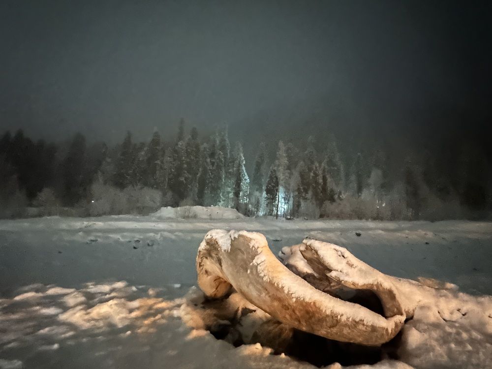 Photograph by Мария Палтусова