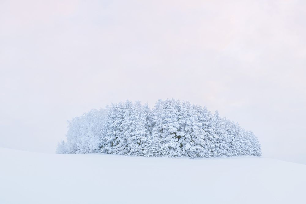 Photograph by Алексей Широбоков