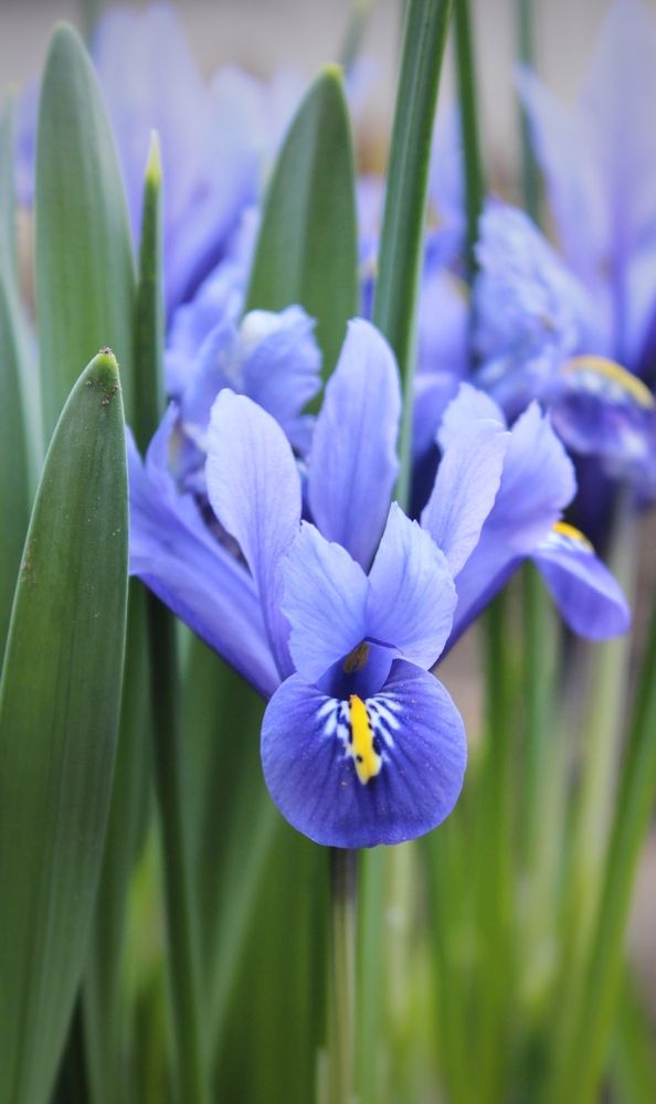 Фотография автора Татьяна Сычёва