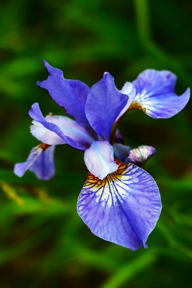 Photograph by ОЛЬГА ДЕРБЕНЕВА