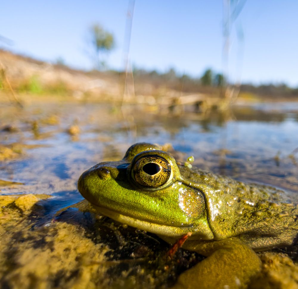 Photograph by Steven Grogin