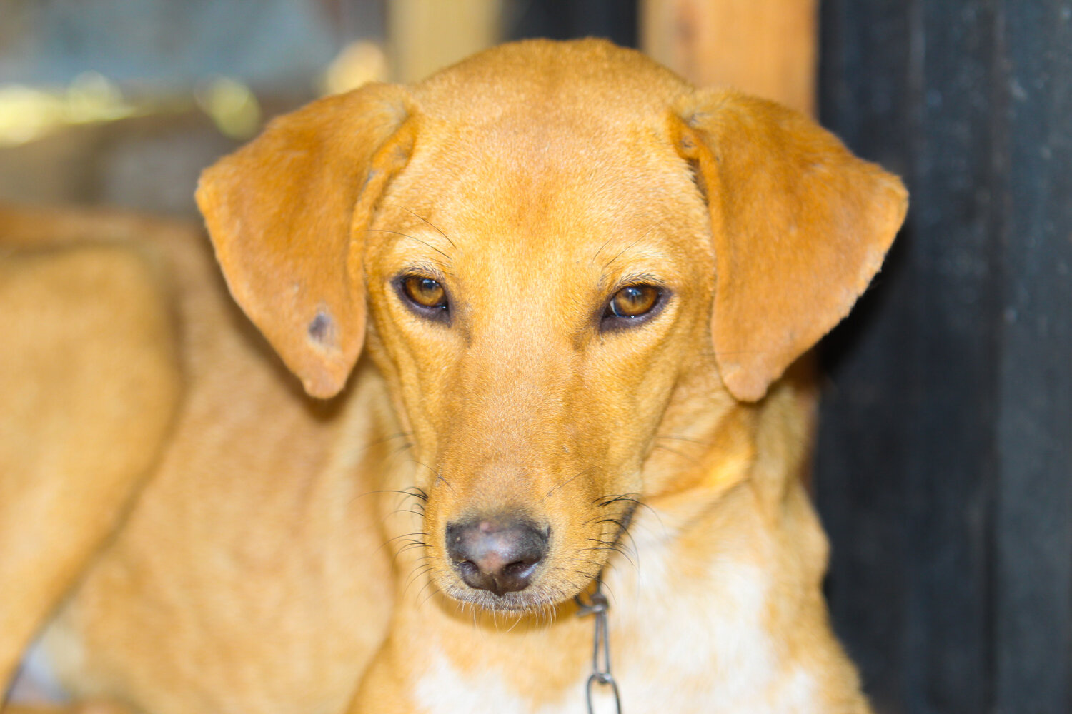 Photo #13165733