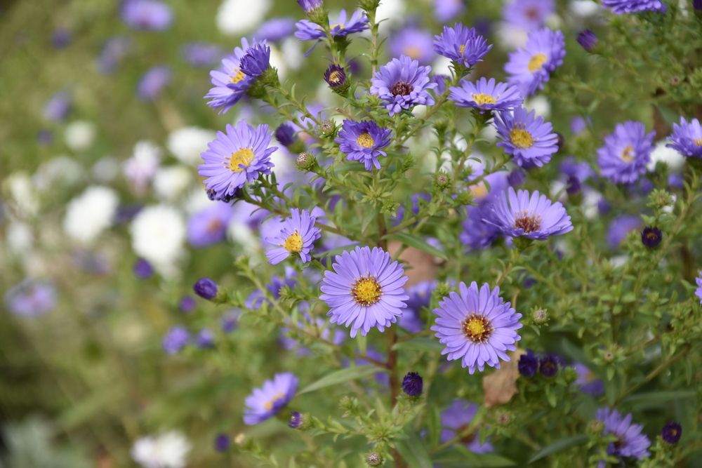 Photograph by Юлия Ю