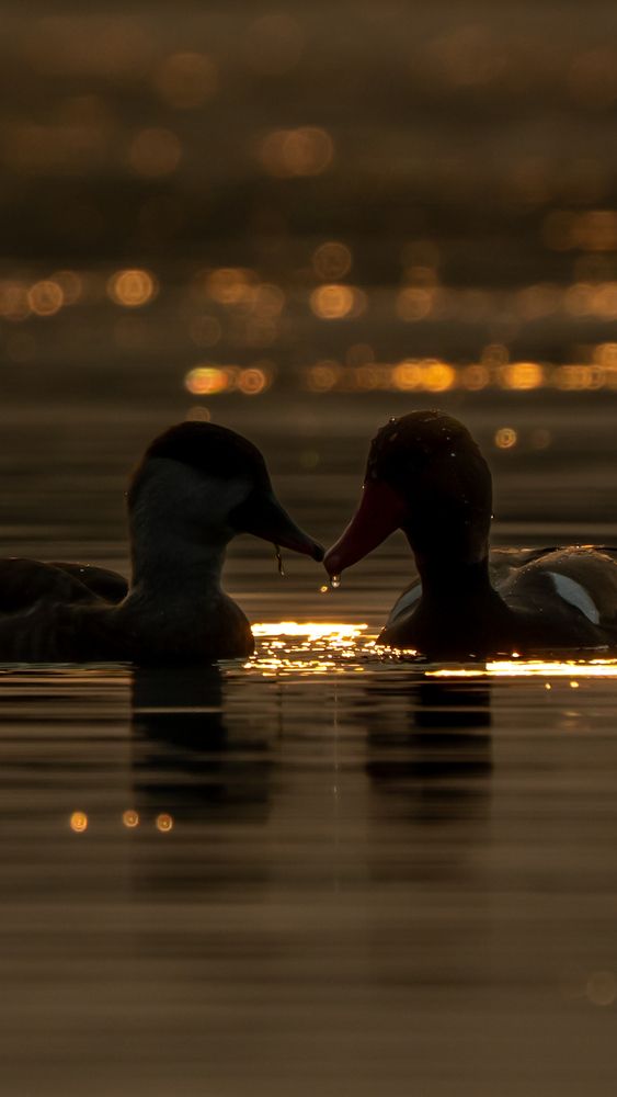 This sky of you and me love looks even more beautiful in the light of sunset