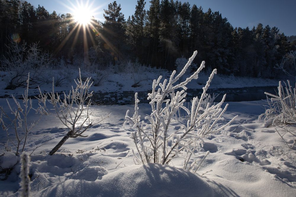 Photograph by Одаренко Ольга