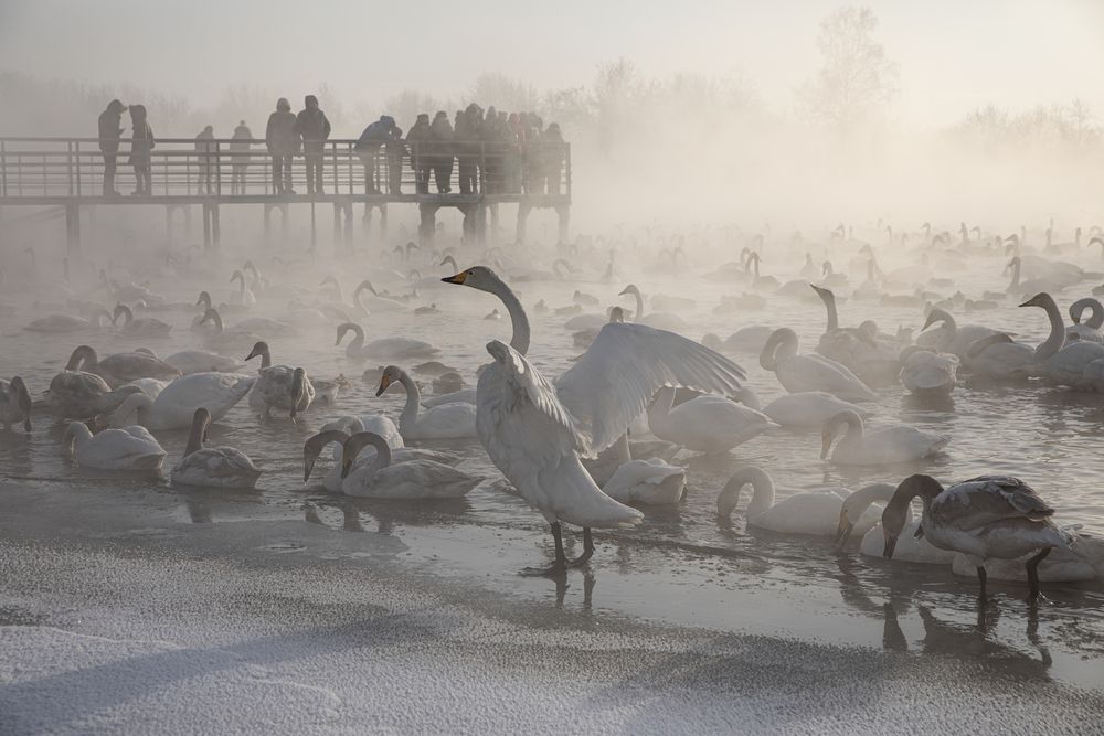 Photograph by Одаренко Ольга