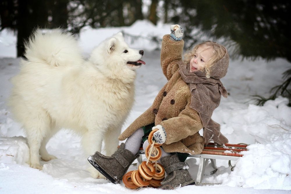Фотография автора Елена Кириллова