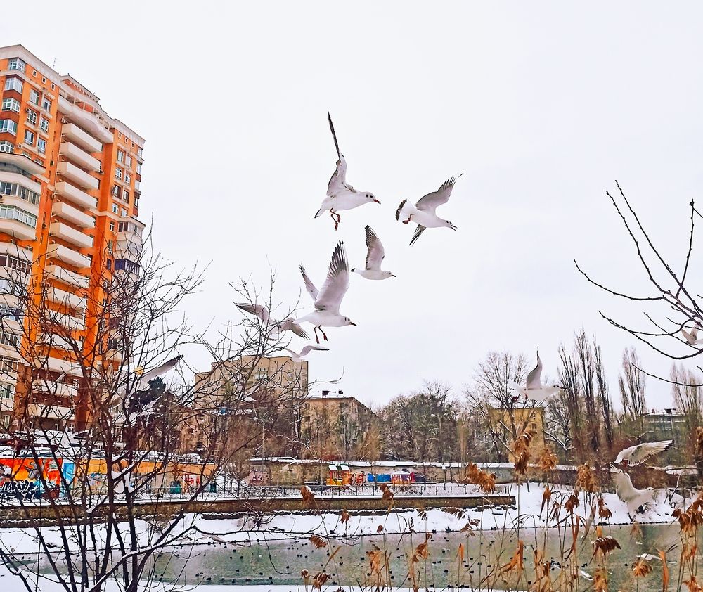 Photograph by Сергей Кульков