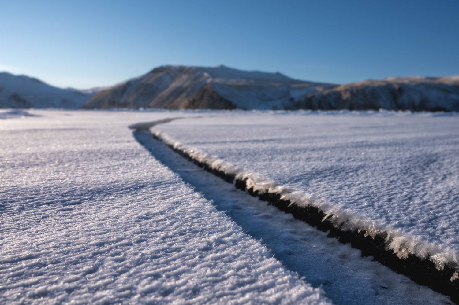 Фотография #13165840