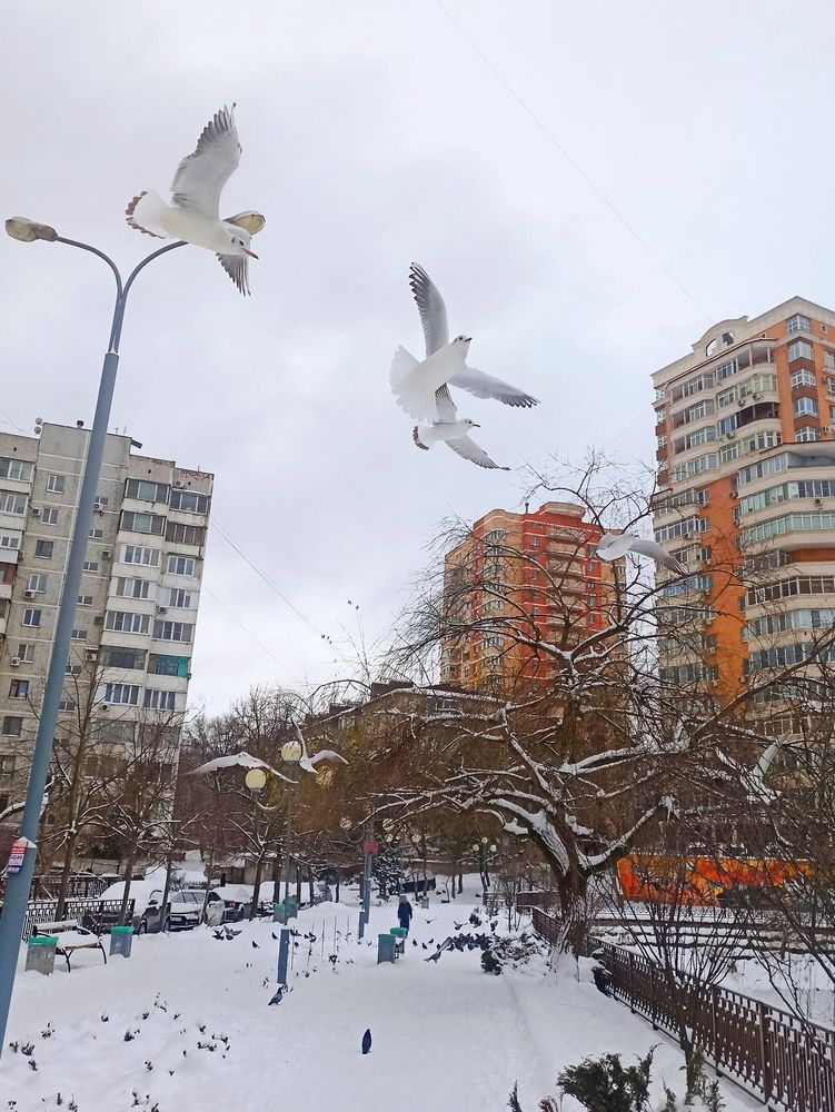 Photograph by Сергей Кульков