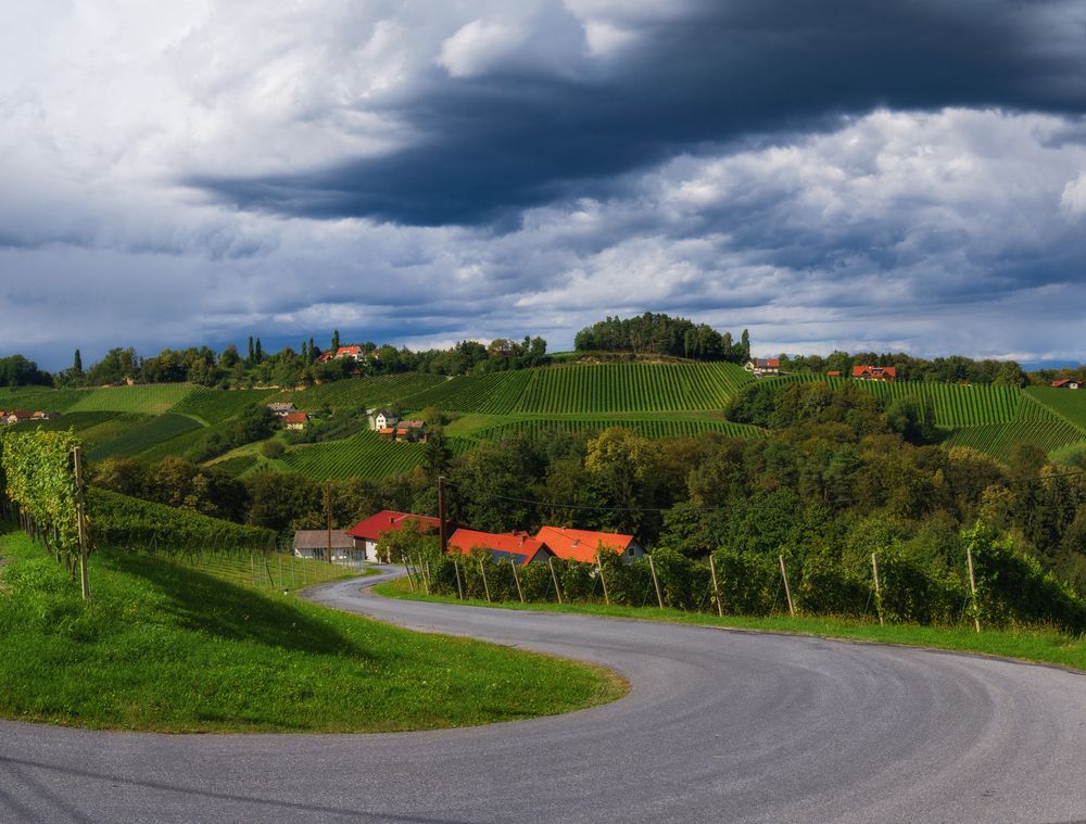 Фотография автора Ирина Мошковская