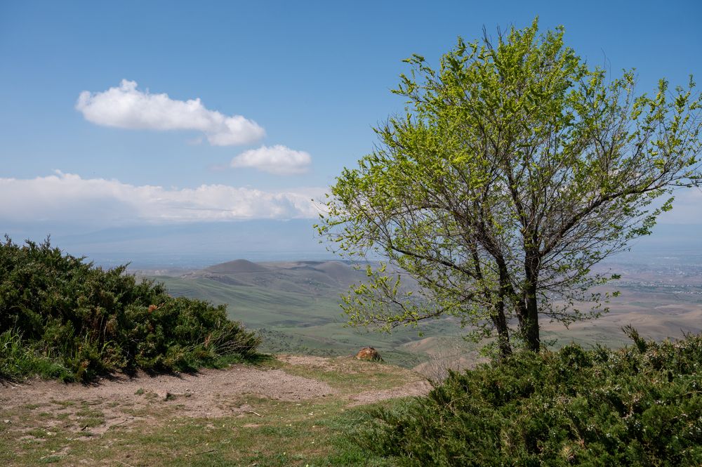 Фотография автора Ирина Мошковская