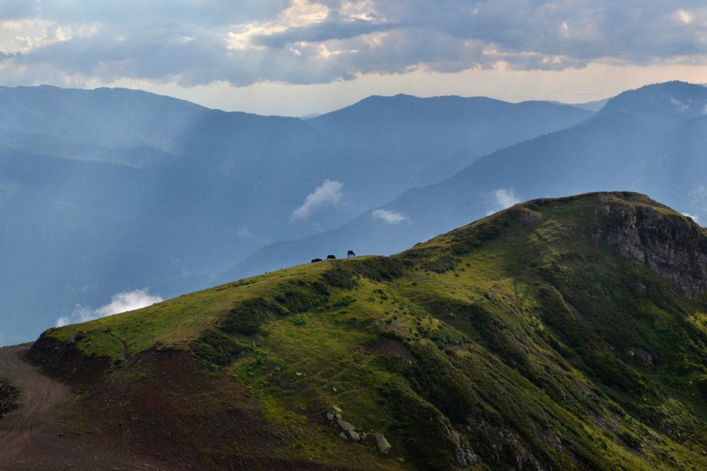 Photograph by Екатерина Самошкина