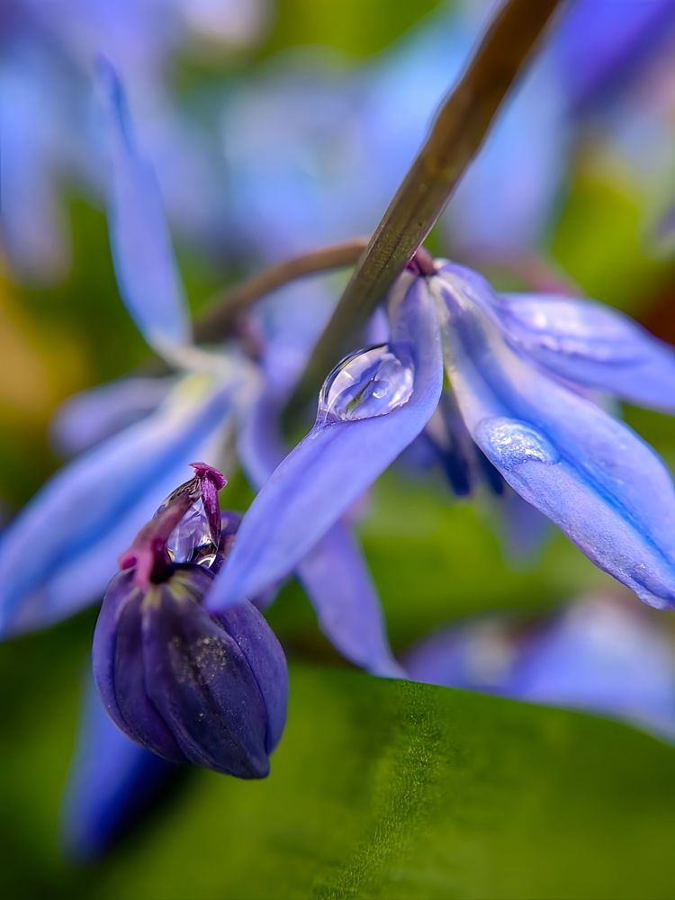 Photograph by Мария Самохвалова