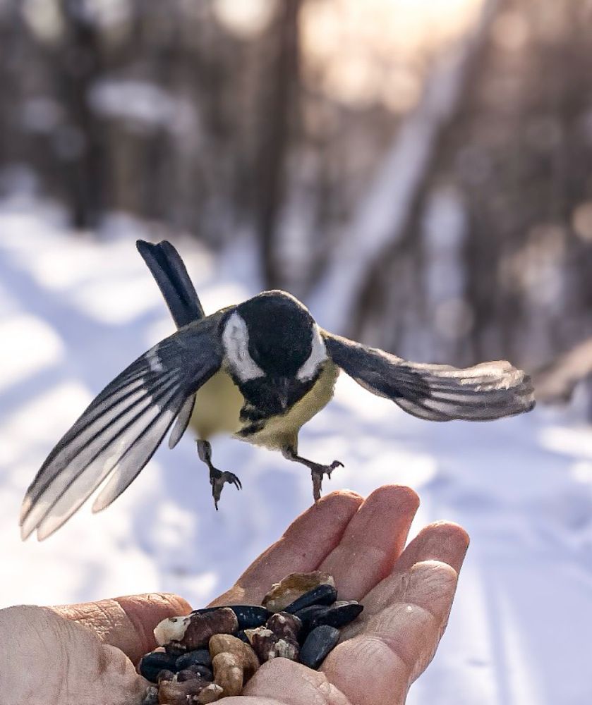 Photograph by Мария Карпычева