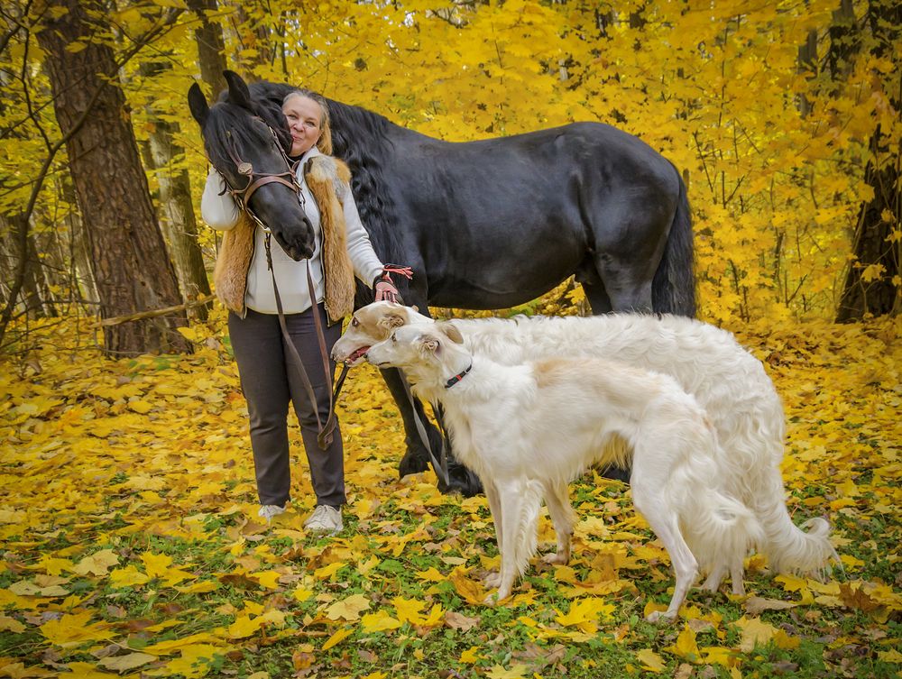 Photograph by Ольга Заповедная