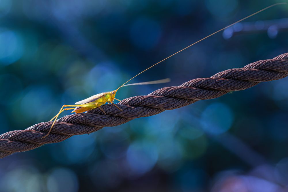 Photograph by Suzuki Ryuta