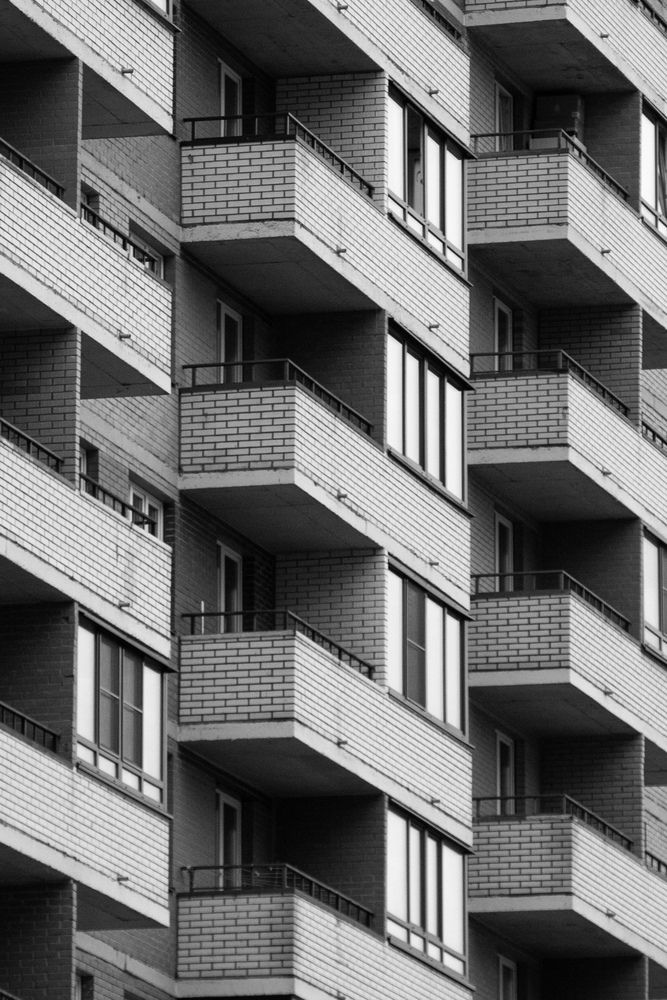 Муравейник