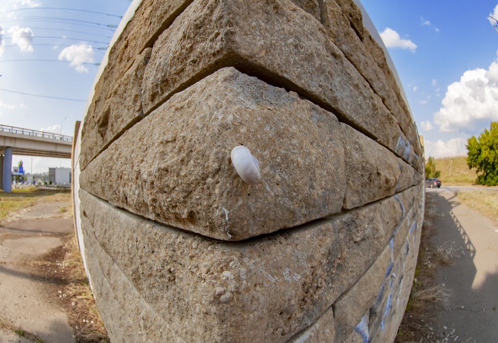 Photograph by Роман Тютин