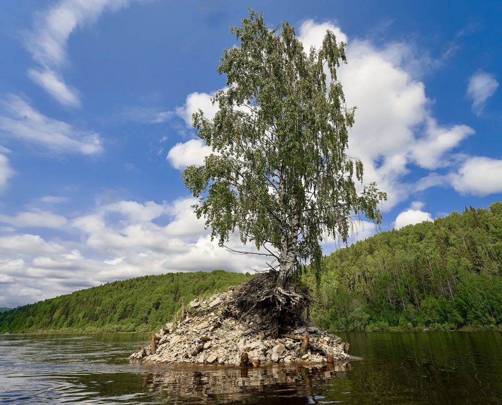 Река Вишера