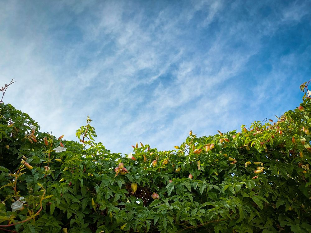 Photograph by Shafieh Sattari