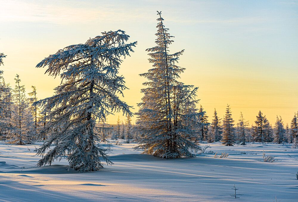 Photograph by Галина Искандарова