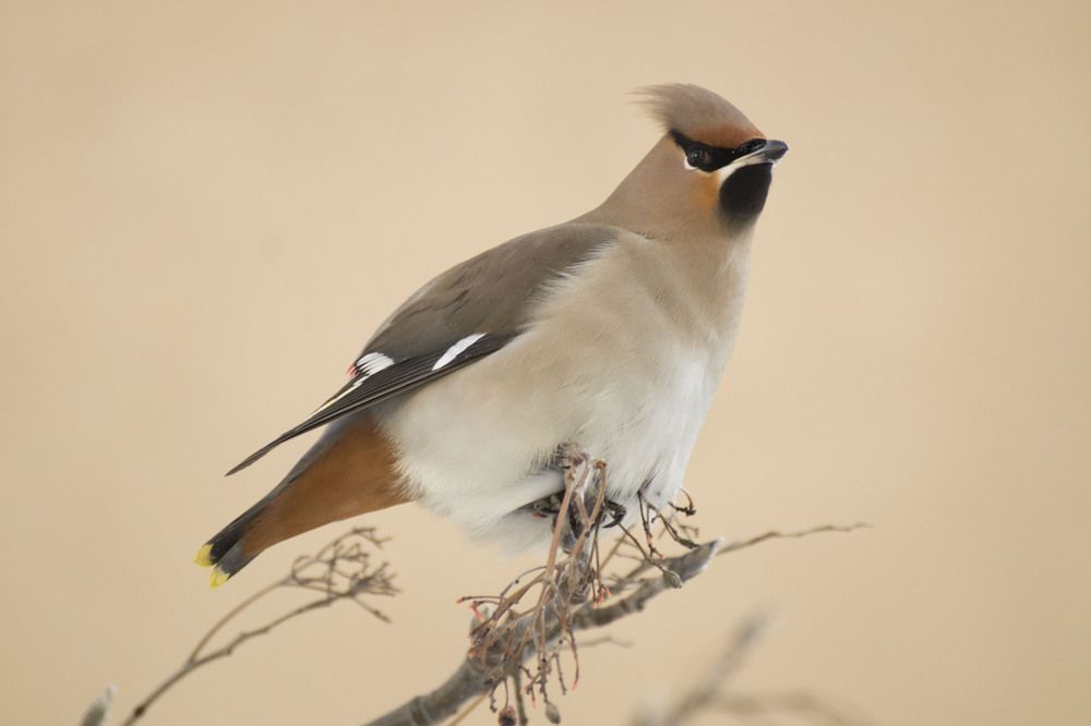 Photograph by Аlessandro