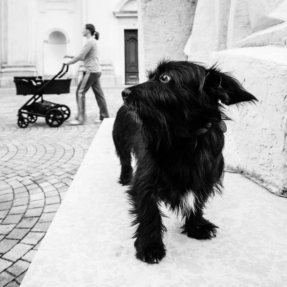 Photograph by Zeljko Grganic