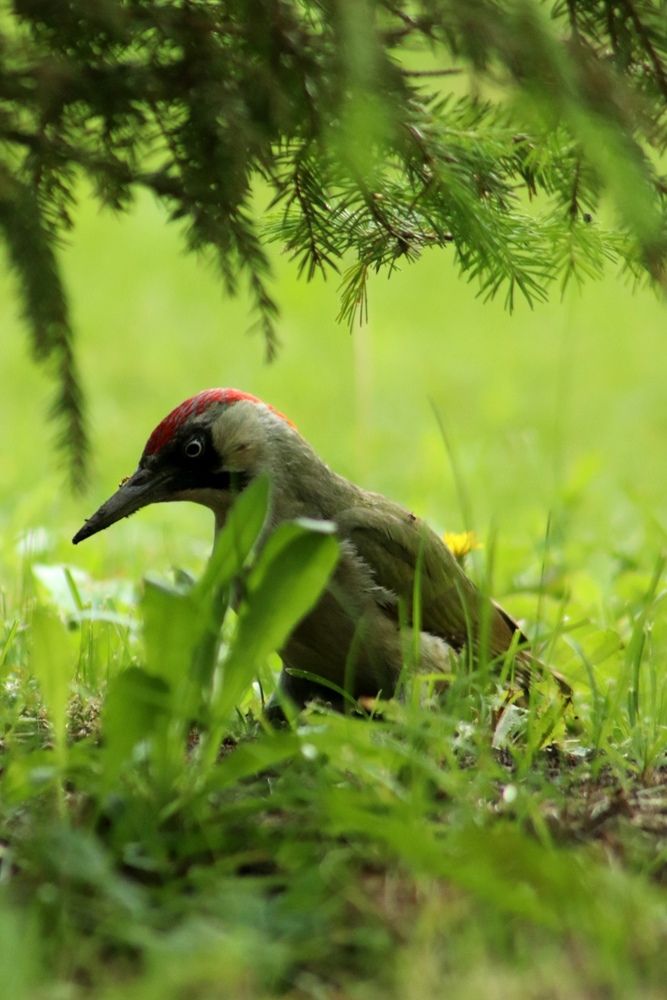 Photograph by Ксения Рыбалко