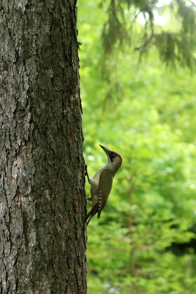 Photograph by Ксения Рыбалко