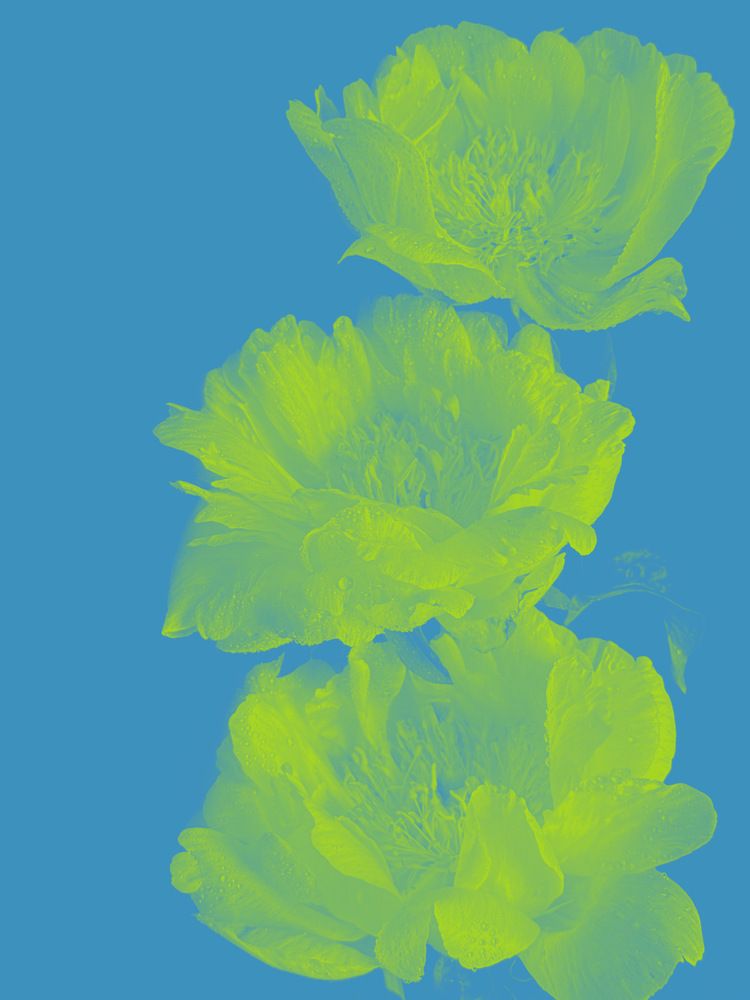 Фотография автора Олена Уманцева