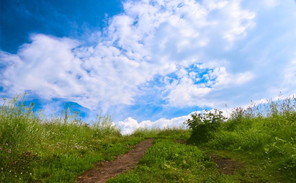 Фотография автора Александра Фокина