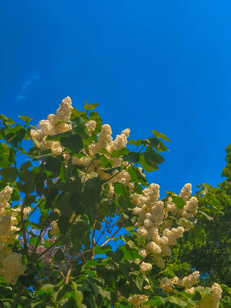 Фотография автора Александра Фокина