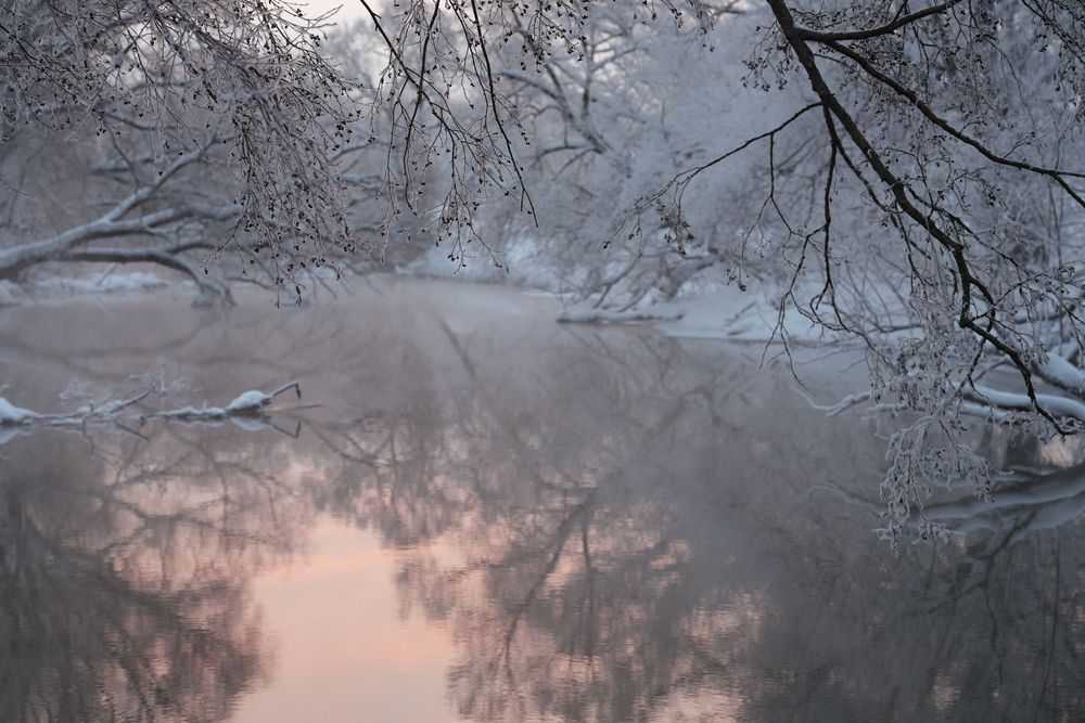 Фотография автора Ян