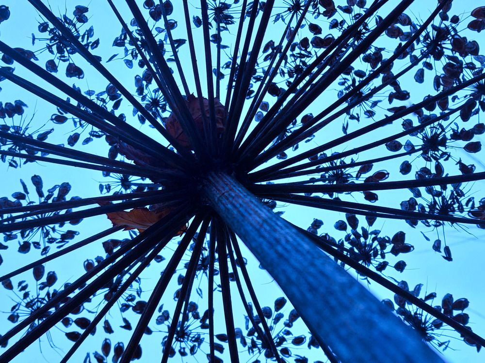 Photograph by Артём Евтюхов