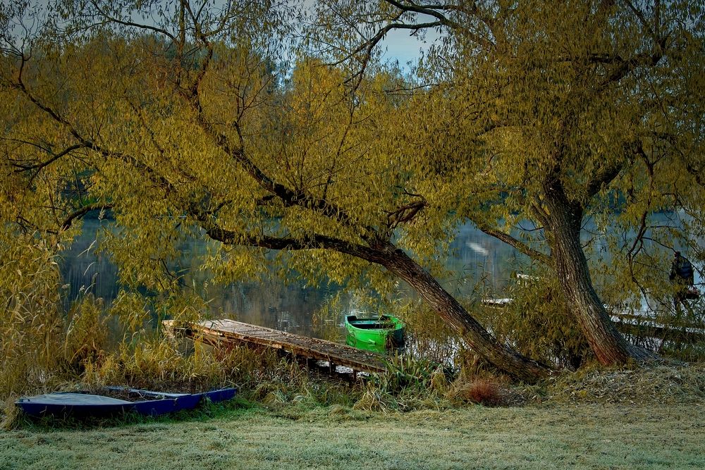 Photograph by Михаил Косолапов