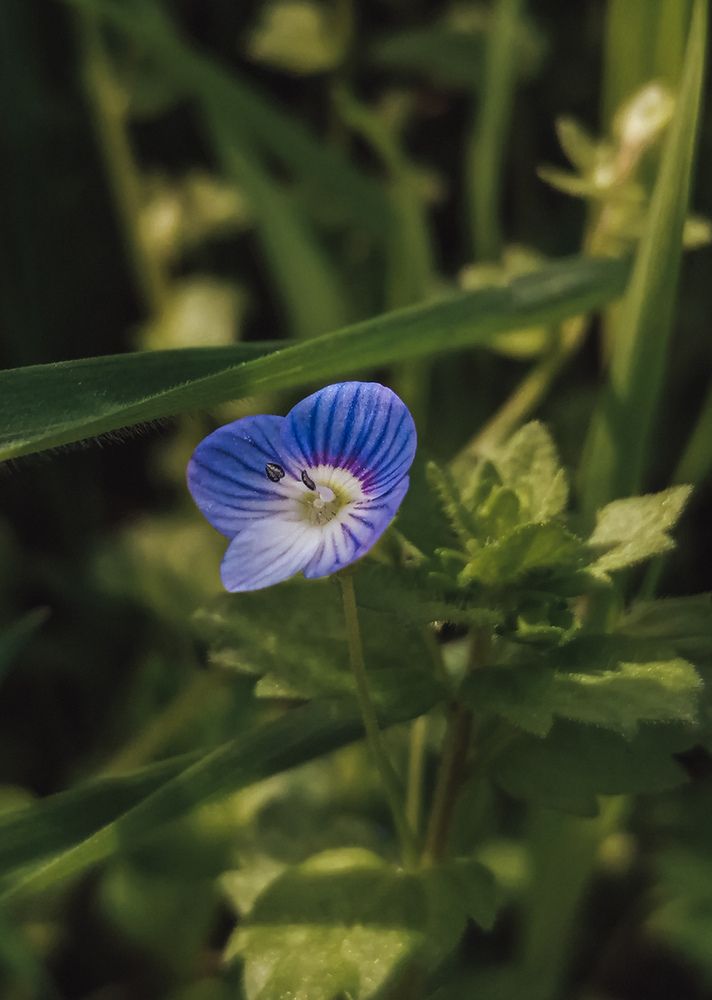 Photograph by Наталия Соболева