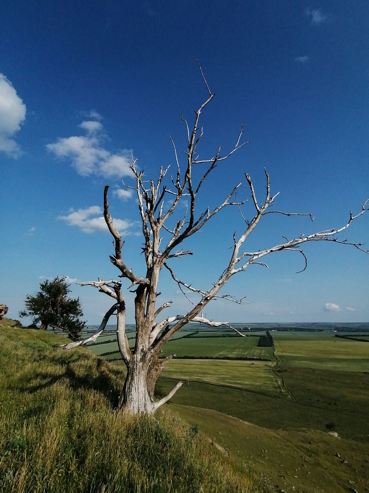 Photograph by Наталия Соболева
